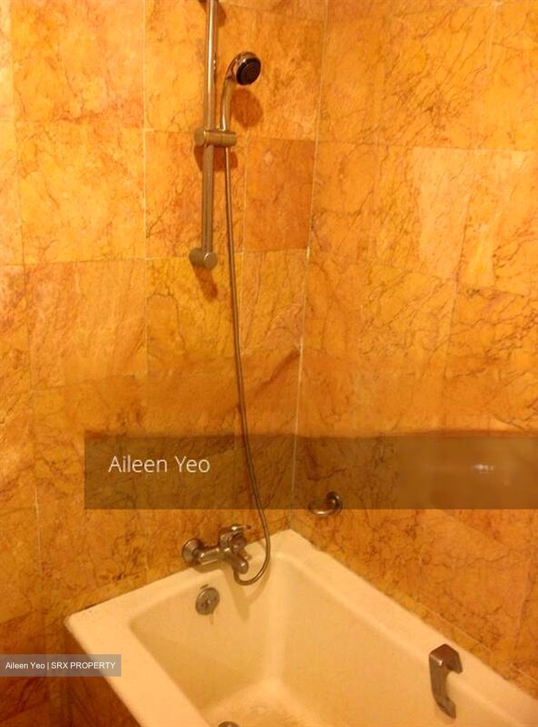 Nineteen Shelford Road (D11), Condominium #467701241